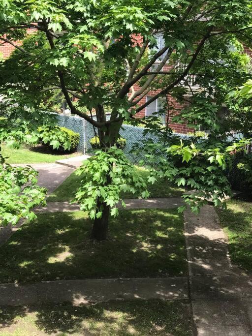 Brooklyn Luxury Spring Retreat With Private Outdoor Space Ню Йорк Екстериор снимка